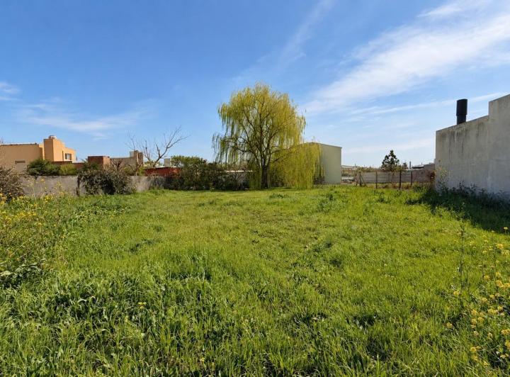 Terreno · 558m²