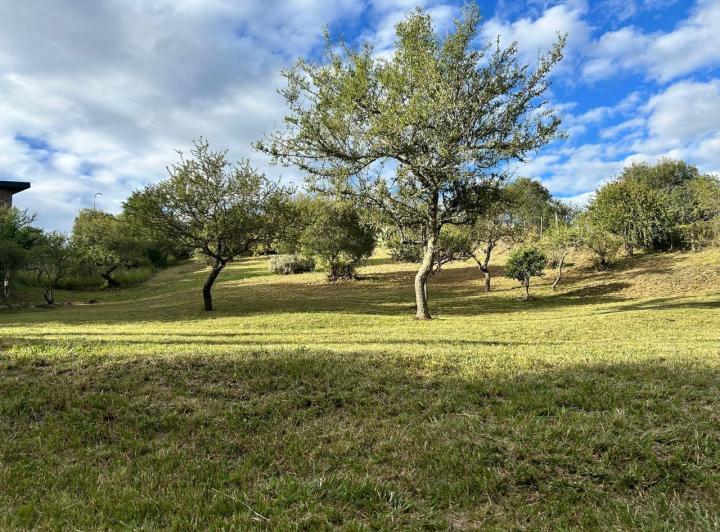 Terreno · 1800m²