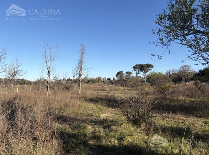 Terreno · 31097m²