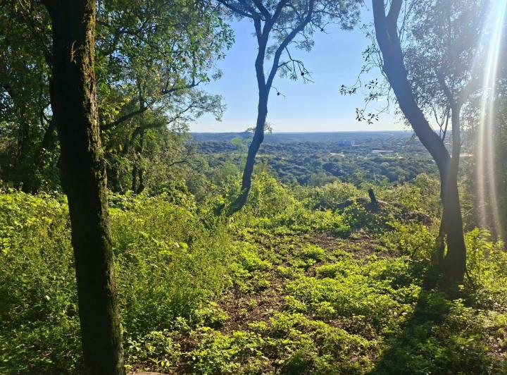 Terreno · 55000m²