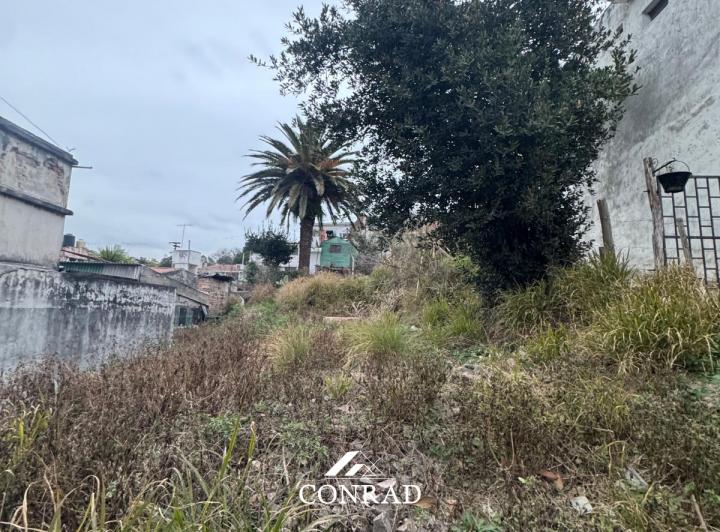 Terreno · 277m²