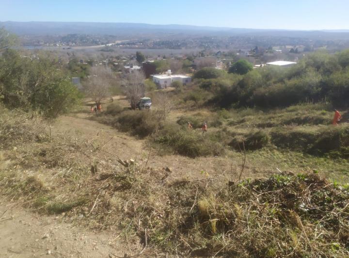 Terreno · 1233m²