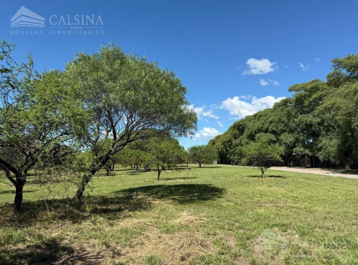 Terreno · 9701m²