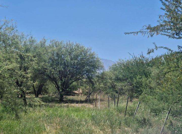 Terreno · 690m²