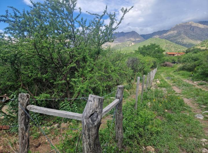 Terreno · 3600m²