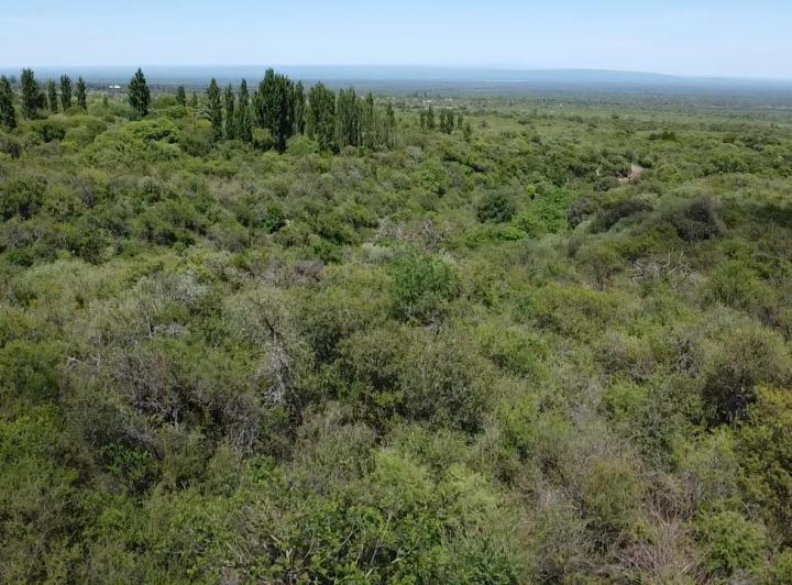 Terreno · 11000m²