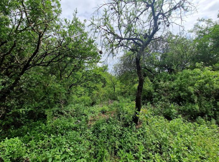 Terreno · 2400m²