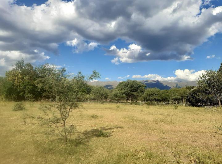 Terreno · 979m²