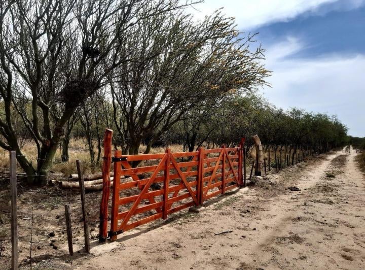 Terreno · 10000ha