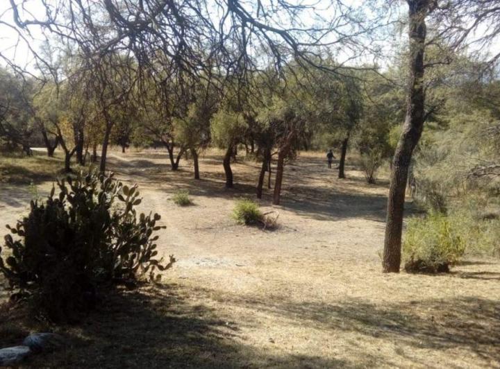 Terreno · 1117m²