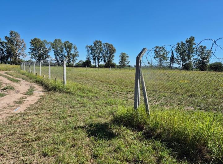 Terreno · 7379m²