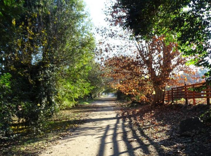 Terreno · 645m²