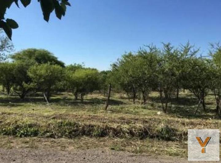 Terreno · 2327m²