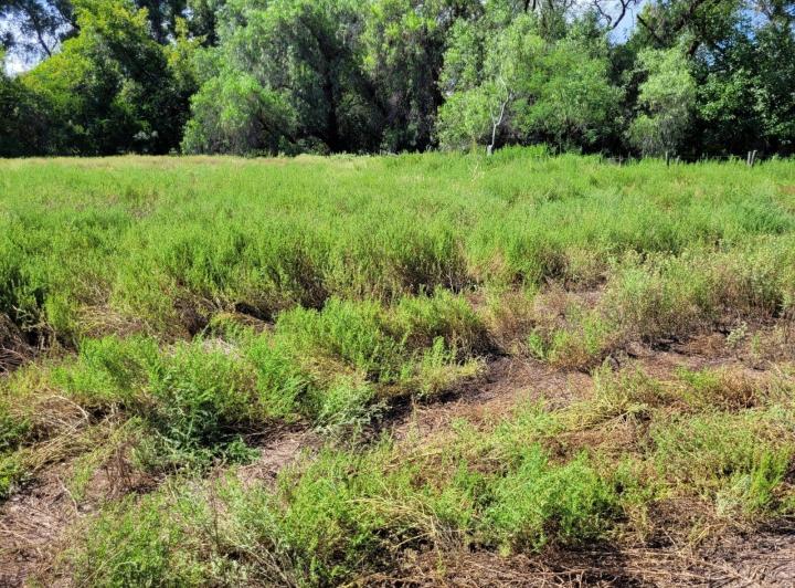 Terreno · 17000m²