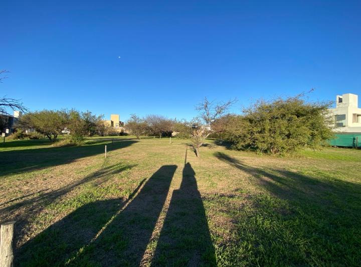 Terreno · 350m²
