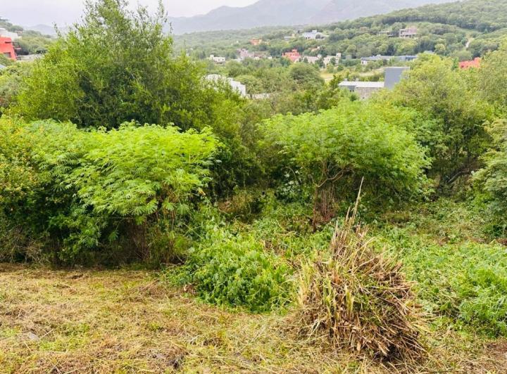 Terreno · 1025m²
