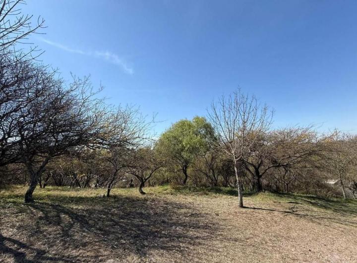 Terreno · 1263m²