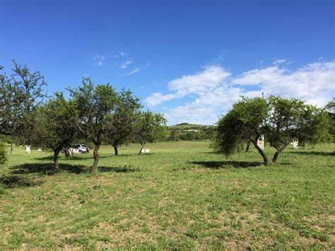 Terreno · 1200m²