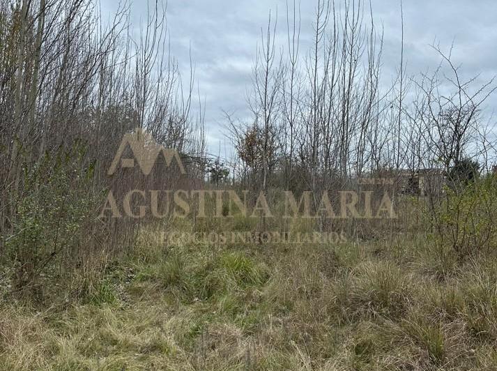 Terreno · 300m² · 1 Ambiente