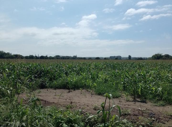 Terreno · 6ha