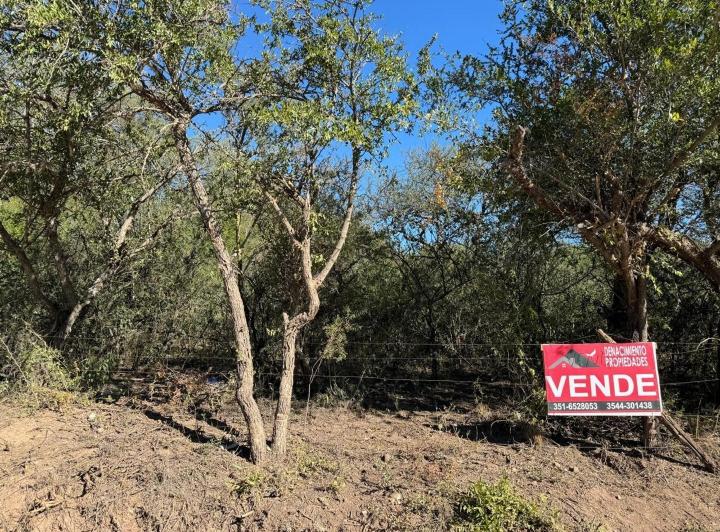 Terreno · 3000m²