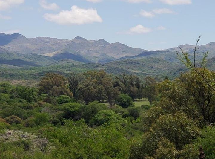 Terreno · 15990m²