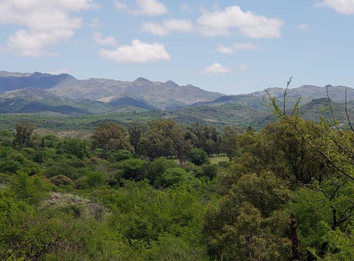 Terreno · 16400m²