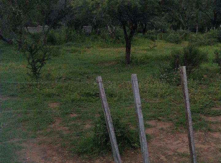 Terreno · 1000m²