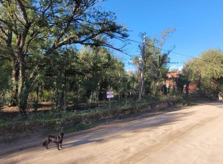 Terreno · 701m²