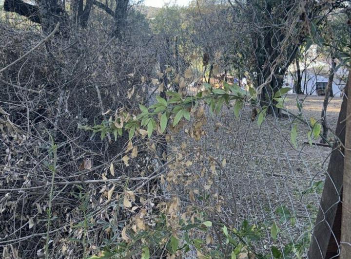 Terreno · 1300m²