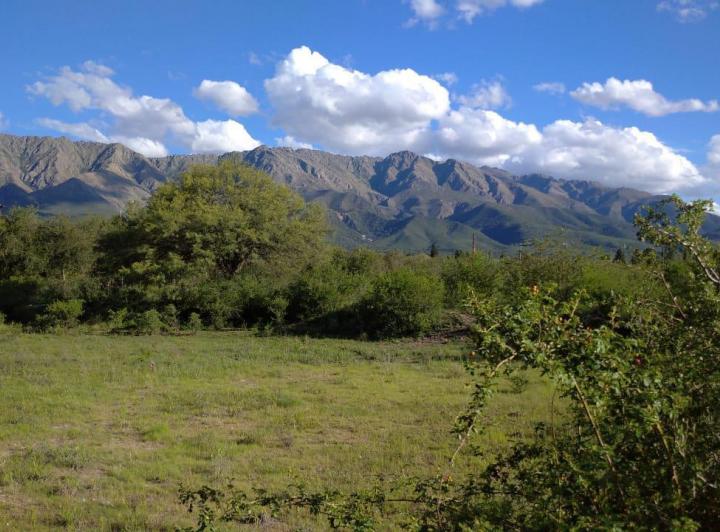 Terreno · 15000m²