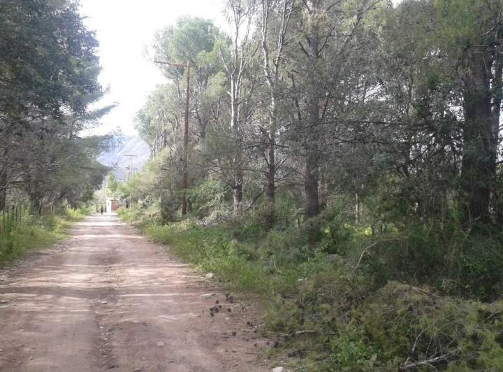 Terreno · 3526m²