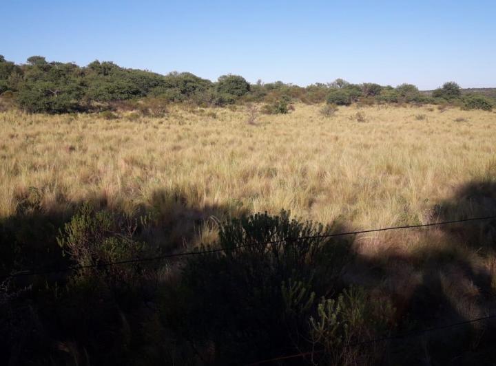 Terreno · 1200m²