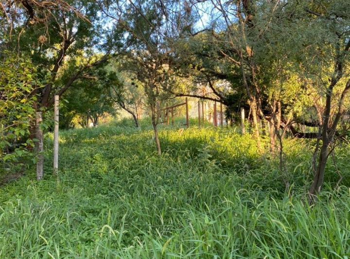 Terreno · 40m² · 2 Ambientes