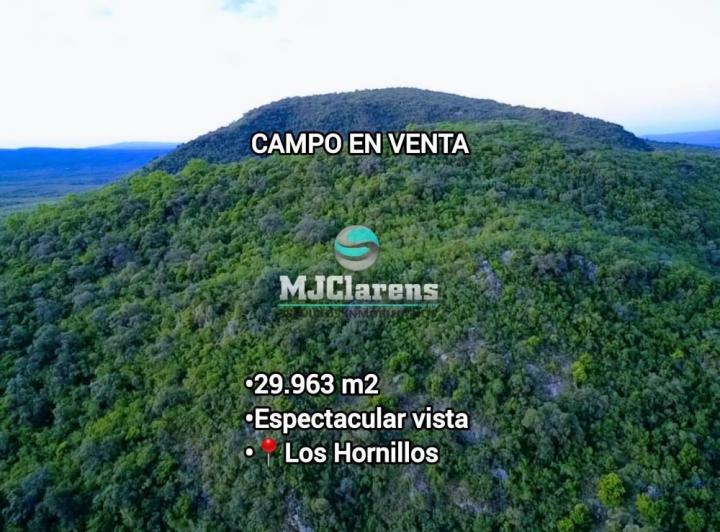 Terreno · 29963m²