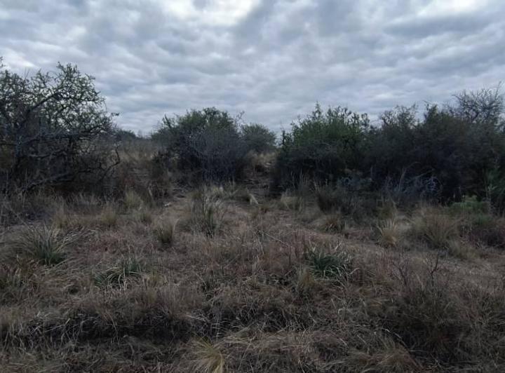 Terreno · 7461m²