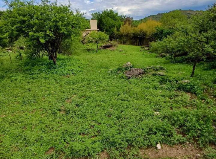 Terreno · 2100m²