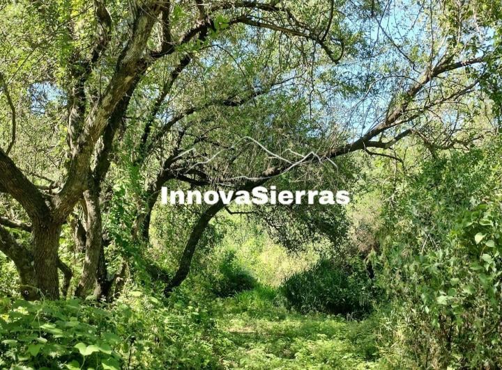 Terreno · 3980m²