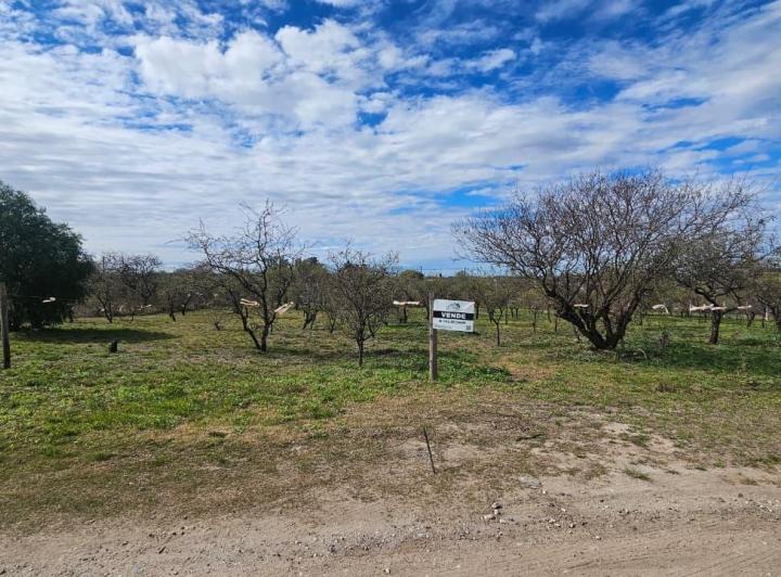 Terreno · 630m²