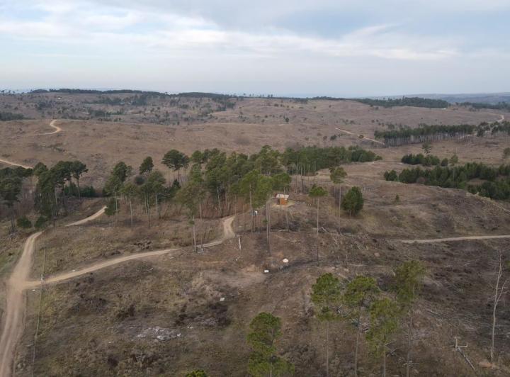 Terreno · 5000m²