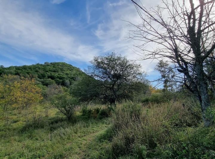 Terreno · 15500m²