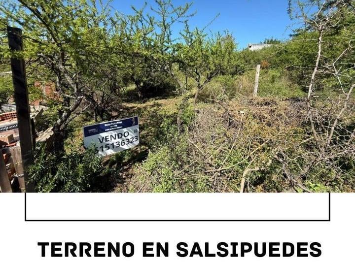 Terreno · 300m² · 1 Ambiente