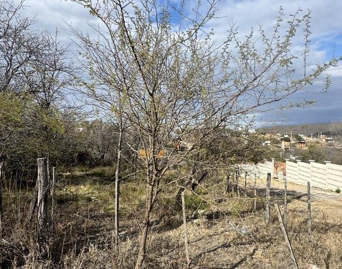 Terreno · 1300m²