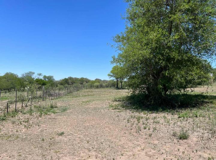 Terreno · 20000m²