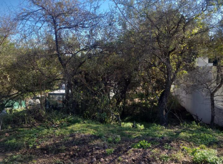 Terreno · 300m²