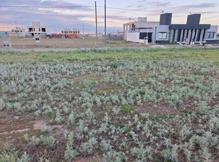 Terreno · 250m²
