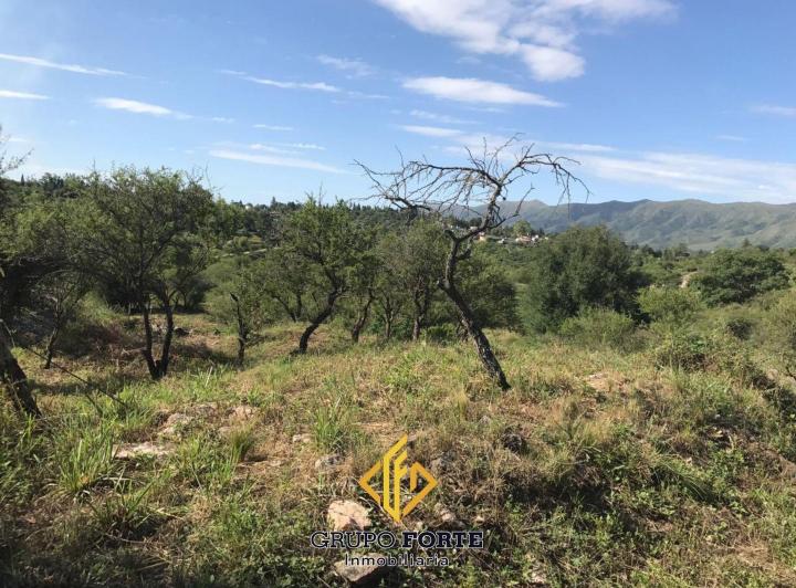 Terreno · 5346m²