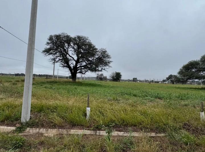 Terreno · 1262m²