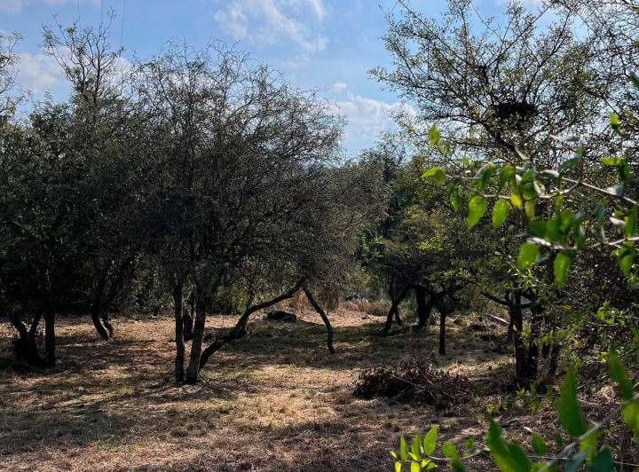 Terreno · 976m²