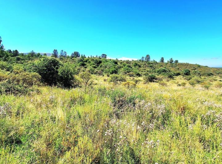 Terreno · 880m²